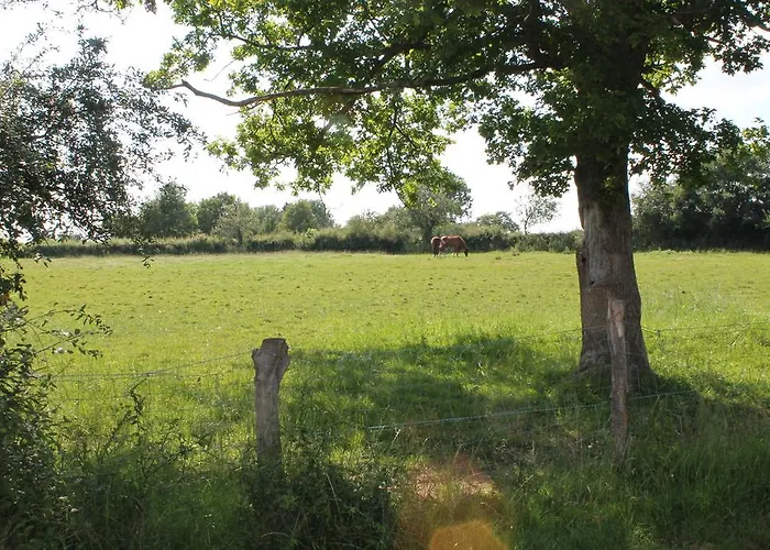 Le Bon Coeur לינה וארוחת בוקר Ygrande